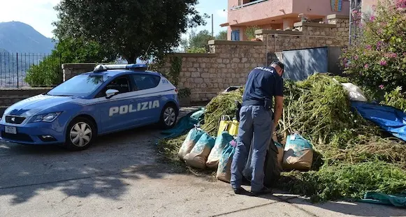 Scoperta ennesima piantagione di marijuana: arrestato un 42enne