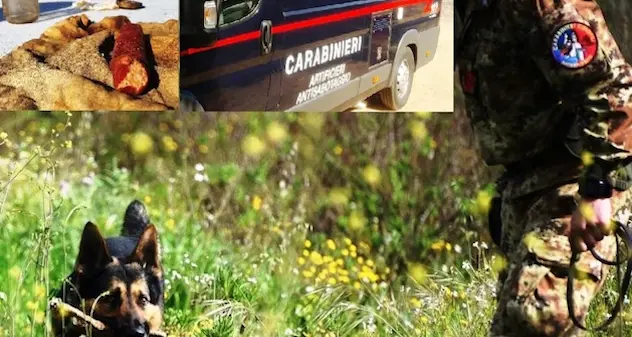 Carabinieri trovano un ordigno a Tortolì