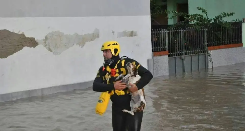Alluvione. Solidarietà dai Circoli degli emigrati sardi