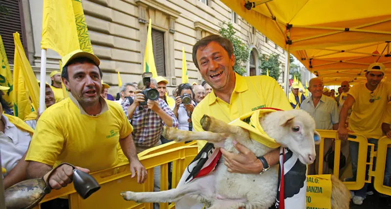 Ultimo \"regalo\" di Natale ai pastori: crolla il prezzo dell'agnello