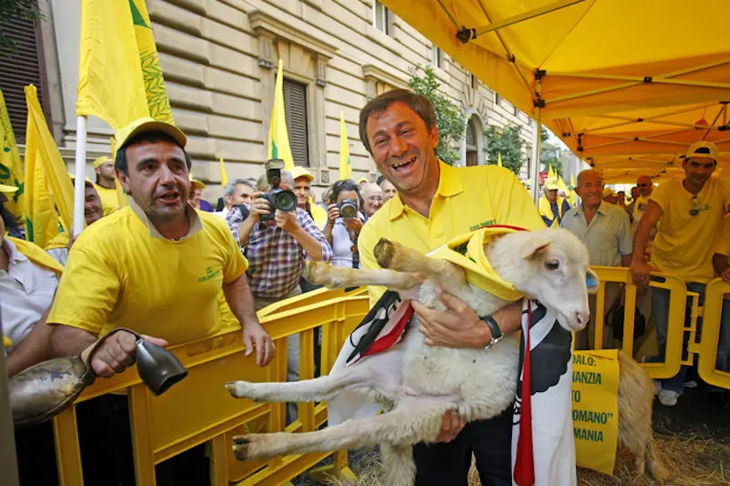 Sergio Marini, presidente di Coldiretti, tiene in braccio un agnello durante la protesta dei pastori davanti al ministero delle Politiche Agricole e Forestali in via XX Settembre, Roma, 6 settembre 2010. \"Lo Stato italiano, attraverso la Simest, \\u00CB proprietario di una industria (Lactitalia) che in Romania, con latte romeno e ungherese, produce formaggi di pecora che vengono \\'spacciati\\' come Made in Italy sui mercati europeo e statunitense, contribuendo ad uccidere con la concorrenza sleale i pastori italiani\": e\\' la denuncia della Coldiretti. ANSA/ALESSANDRO DI MEO