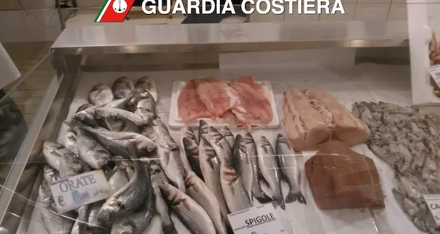 Vendevano il pesce senza certificazioni: sanzioni e sequestri a Porto Torres