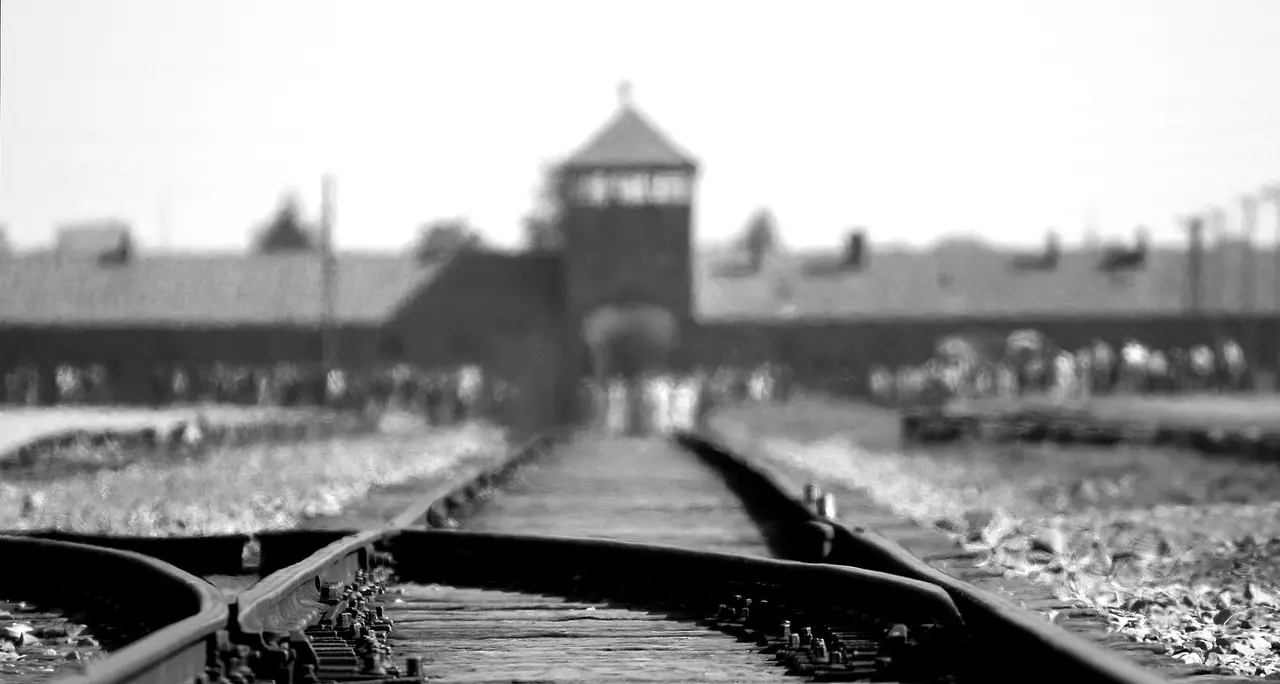 Giovedì 25 gennaio “Racconti di un viaggio dentro la memoria” e “Viaggio 2017”