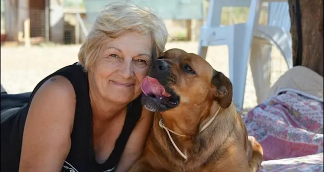 Cani abbandonati da 'padroni' senza scrupoli: appello per aiutare 230 amici a quattro zampe