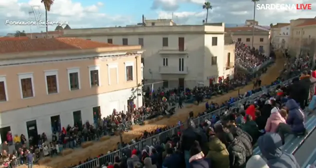 Sartiglia, cavallo abbattuto, la denuncia delle associazioni animaliste: \"Vogliamo che sia fatta giustizia\"