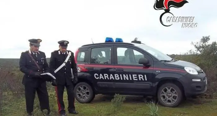 Uccide un Labrador a colpi di fucile: nei guai un allevatore 50enne di Jerzu