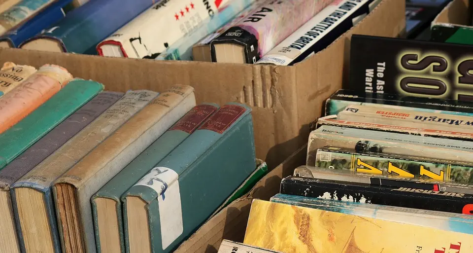 Editoria in Sardegna. Stanziati dalla Giunta regionale 150mila euro per la mostra di Macomer e la promozione del libro sardo