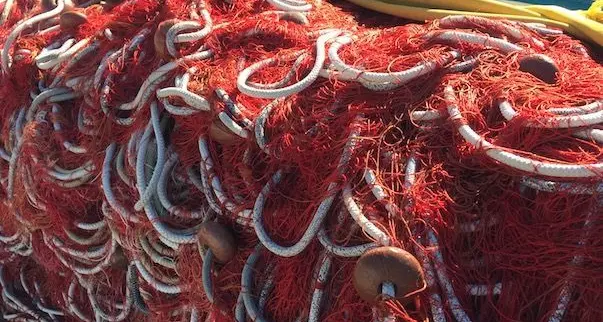 Il Consiglio regionale approva il Disegno di legge sulla pesca