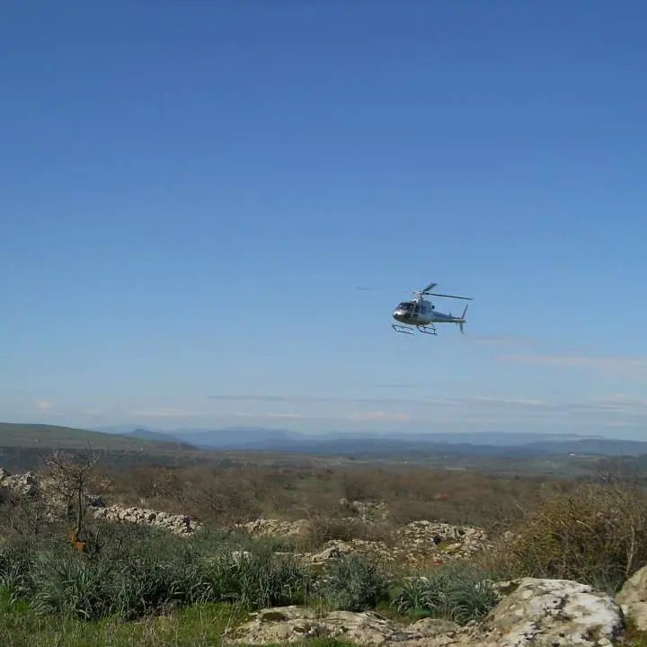 Panico a Domusnovas: case e aziende agricole minacciate da un incendio