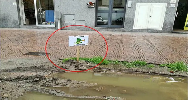Alla fermata del bus c’è una sorta di palude: «Attenti ai coccodrilli»