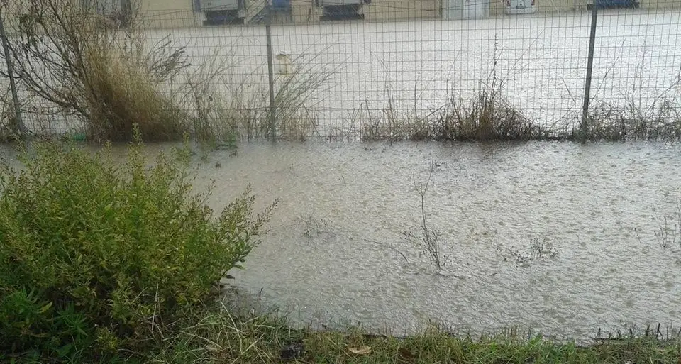 Alluvione. L'assessore dell'agricoltura incontra le rappresentanze delle categorie professionali tecniche e le confederazioni agricole