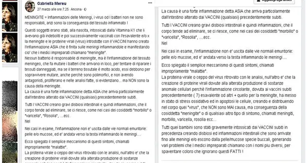 Meningite, Gabriella Mereu: “I bambini intossicati dai vaccini”