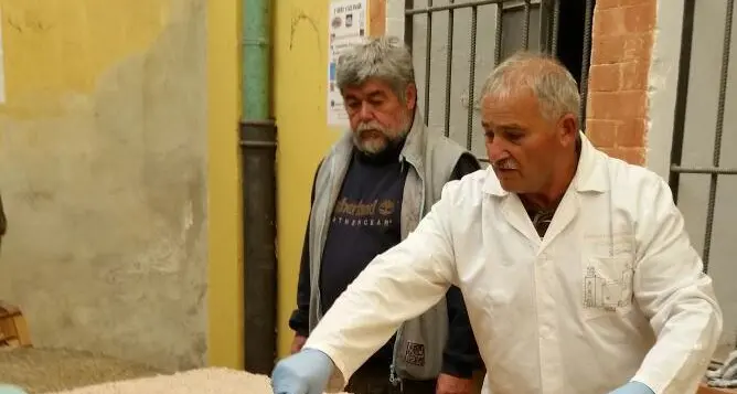 Un brevetto tutto sardo per l’utilizzo della lana in bioedilizia