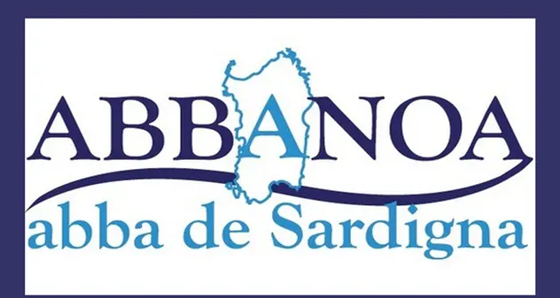 Abbanoa, stato di agitazione dei lavoratori per i 207 esuberi