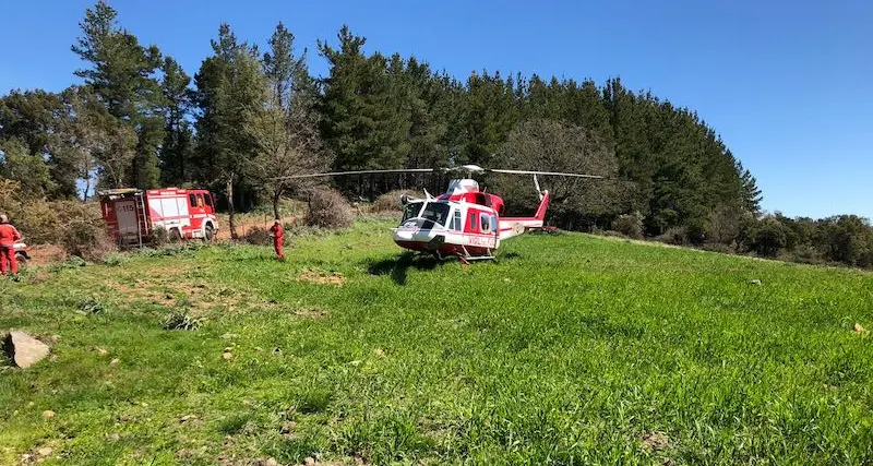 Tragedia nelle campagne di Gadoni: 42enne muore travolto da un albero