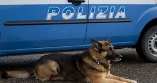 Controlli antidroga nelle scuole cittadine