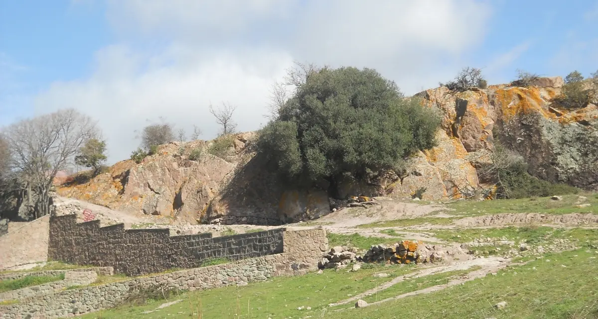 Sabato 14 aprile omaggio ad Ercole Contu alla necropoli di Sant’Andrea Priu