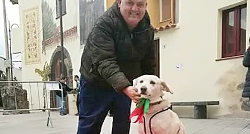 La cucciola Kira continua a raccogliere successi: ora è la più bella d’Italia