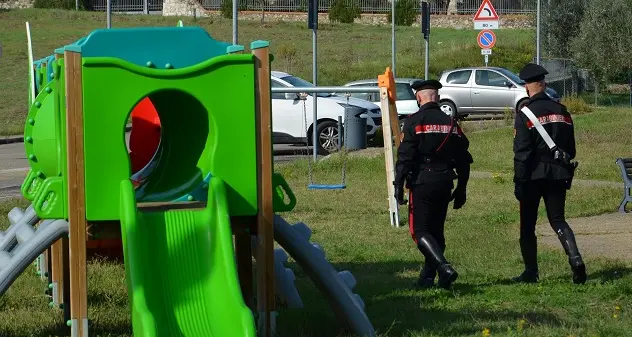 Villamar. Pascolava il gregge nel cortile di proprietà della scuola materna: denunciato