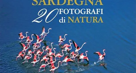 “Sardegna-20 fotografi di natura” domenica 22 aprile alla locanda Minerva