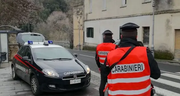 Furto in una azienda agricola: rubati trenta agnelli, campanacci e attrezzi da lavoro