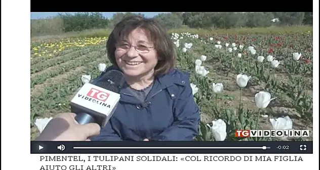 Tulipani della Solidarietà per aiutare chi soffre. Maria Fois: “Li dedico a mia figlia che non c’è più”