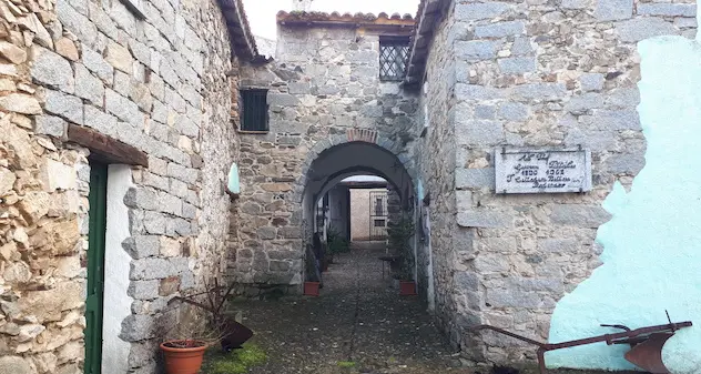 Bitti. Dal 1° al 30 giugno ingressi gratuiti nei musei