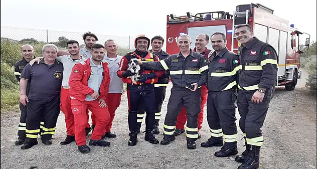 Cucciolo rimane intrappolato in un fiume, lo salvano i Vigili del Fuoco