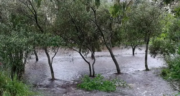 Allarme a Olbia: il rio Sa Ua Niedda sta esondando