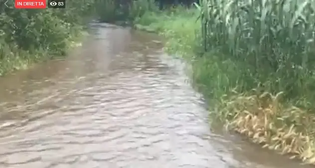 Esonda il fiume Tirso | VIDEO DIRETTA