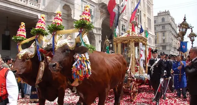 A rischio estinzione gioghi di buoi e traccas: se ne parlerà domenica a Macomer