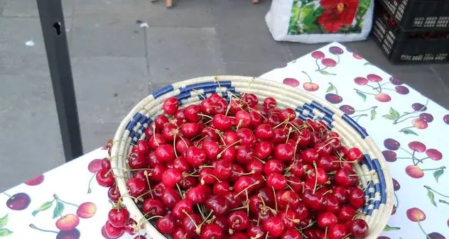 Bonnanaro si prepara alla trentesima fiera delle ciliegie