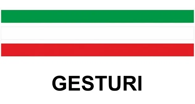 Elezioni amministrative 2018 | GESTURI: le liste dei candidati