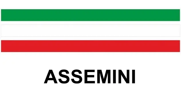 Elezioni amministrative 2018 | ASSEMINI: le liste dei candidati