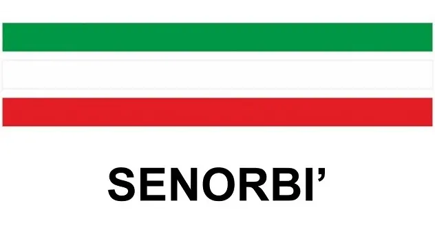 Elezioni amministrative 2018 | SENORBI': le liste dei candidati