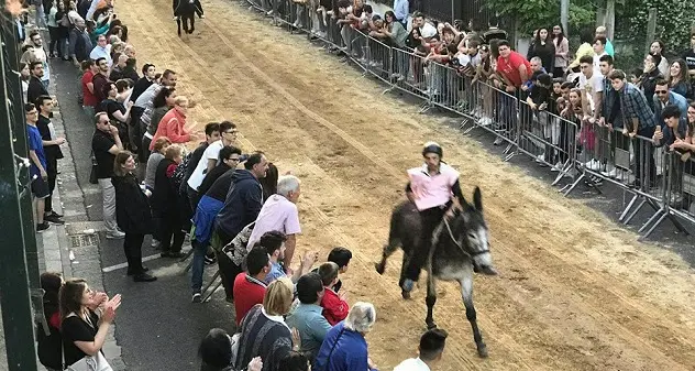 Il fantino sardo Valentino Bussu trionfa al Palio del Casale di Camposano