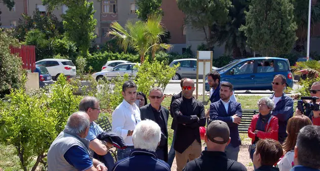Uliveto e alberi da frutto: ecco il nuovo giardino nel cuore di Sant’Elia