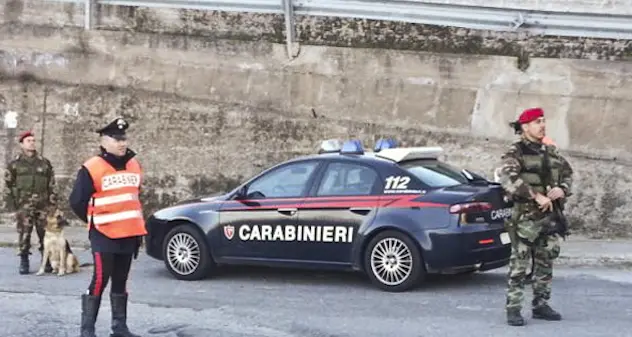 Allevamento illegale di suini: 65enne denunciato dai Carabinieri