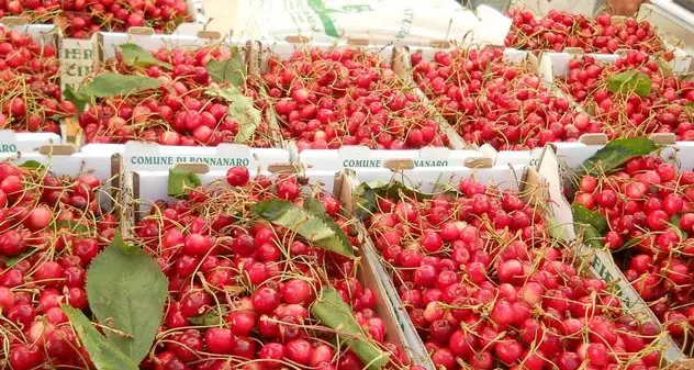 Tre giorni dedicati alle ciliegie