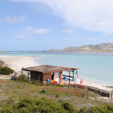 Scatta il numero chiuso nella spiaggia La Pelosa a Stintino, in anticipo di 15 giorni