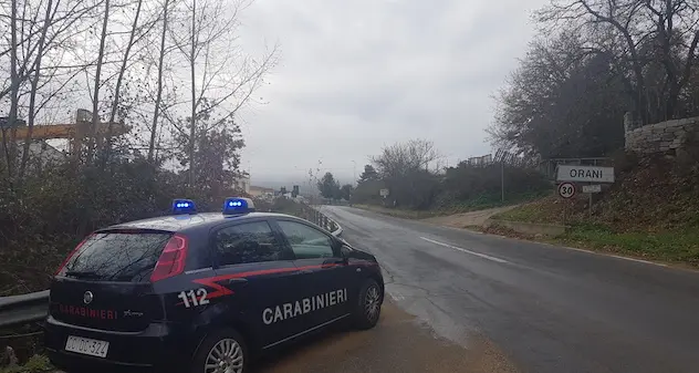 Due bovini uccisi in un'azienda: indagini in corso dei Carabinieri
