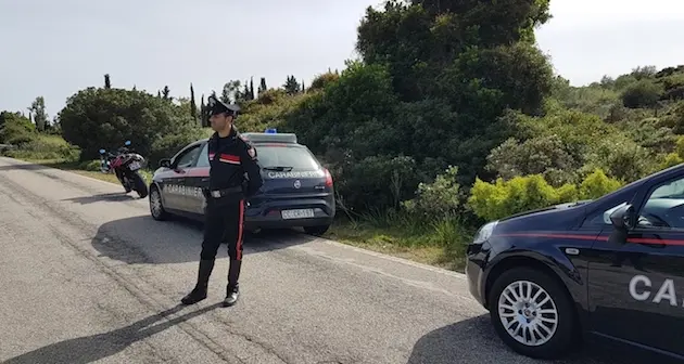 Bovino sbarra la strada a una motociclista: inevitabile l'impatto