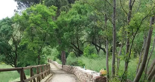 Apprezzamento per la giornata ecologica promossa dal Comune di Banari