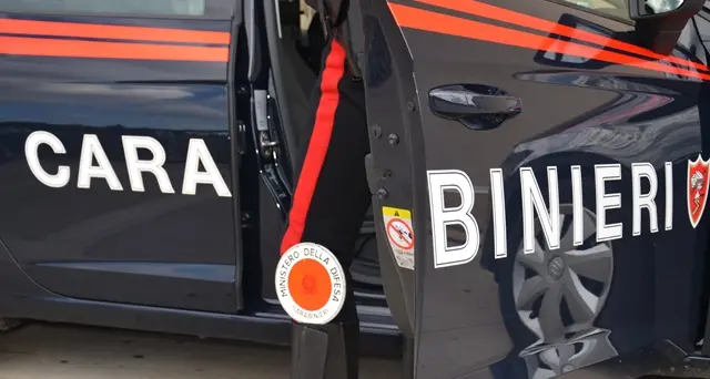 Violenta lite con la madre: afferra il coltello e la colpisce ripetutamente uccidendola