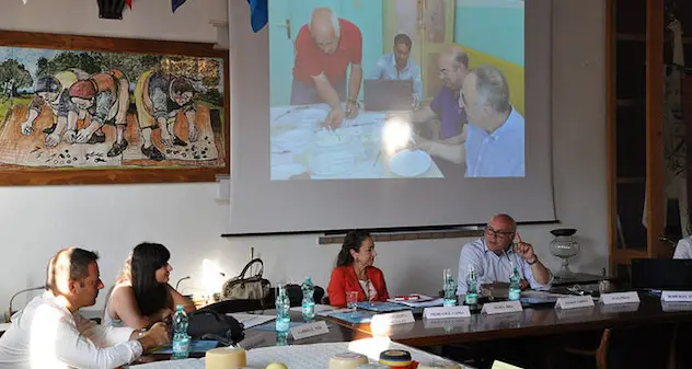 Agricoltura, concorso regionale formaggi caprini della sardegna 2018: ecco le valutazioni