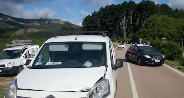 Incidente sulla SS 389: auto investe un bovino