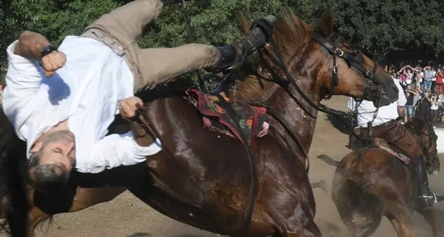 Ardia di Sedilo. Cadono prima e seconda pandela, a terra anche un terzo cavaliere operato d'urgenza a Nuoro