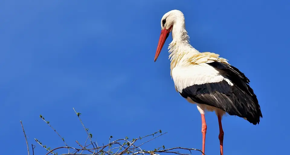 “Rete Natura 2000”: la Giunta stanzia 280mila per il rafforzamento del sistema