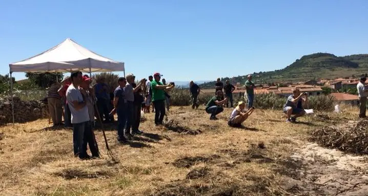 Thiesi rinnova il rito de \"S'Alzola\"