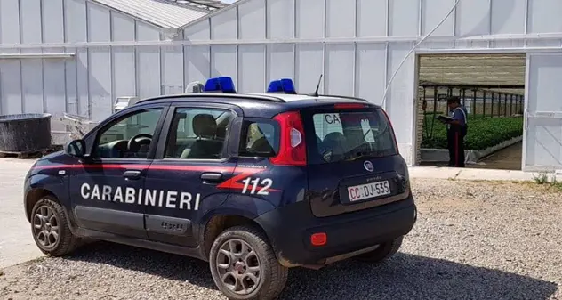 Lavoro nero, scoperti 6 operai irregolari: maxi multa per il titolare di un’azienda agricola